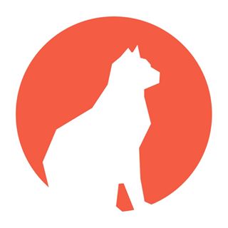 my profile image